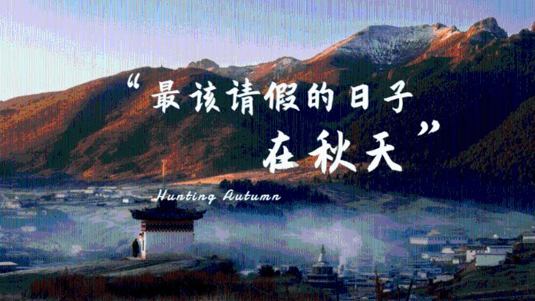 猫头鹰森林逃生