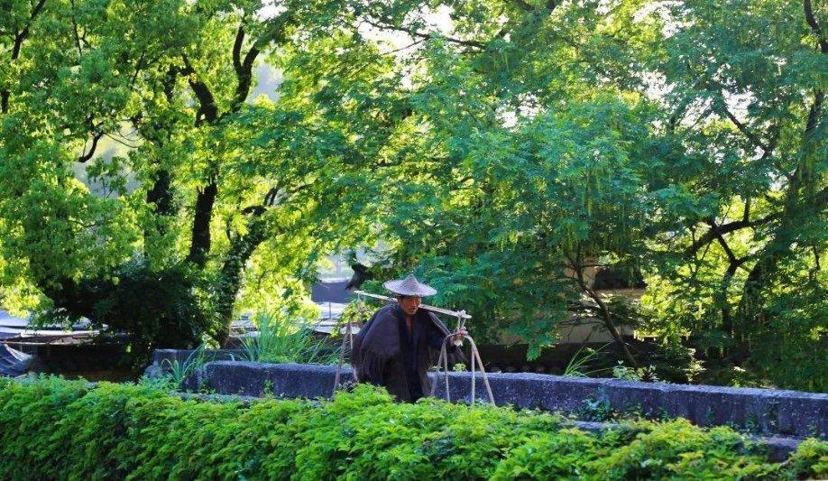 刺客信条