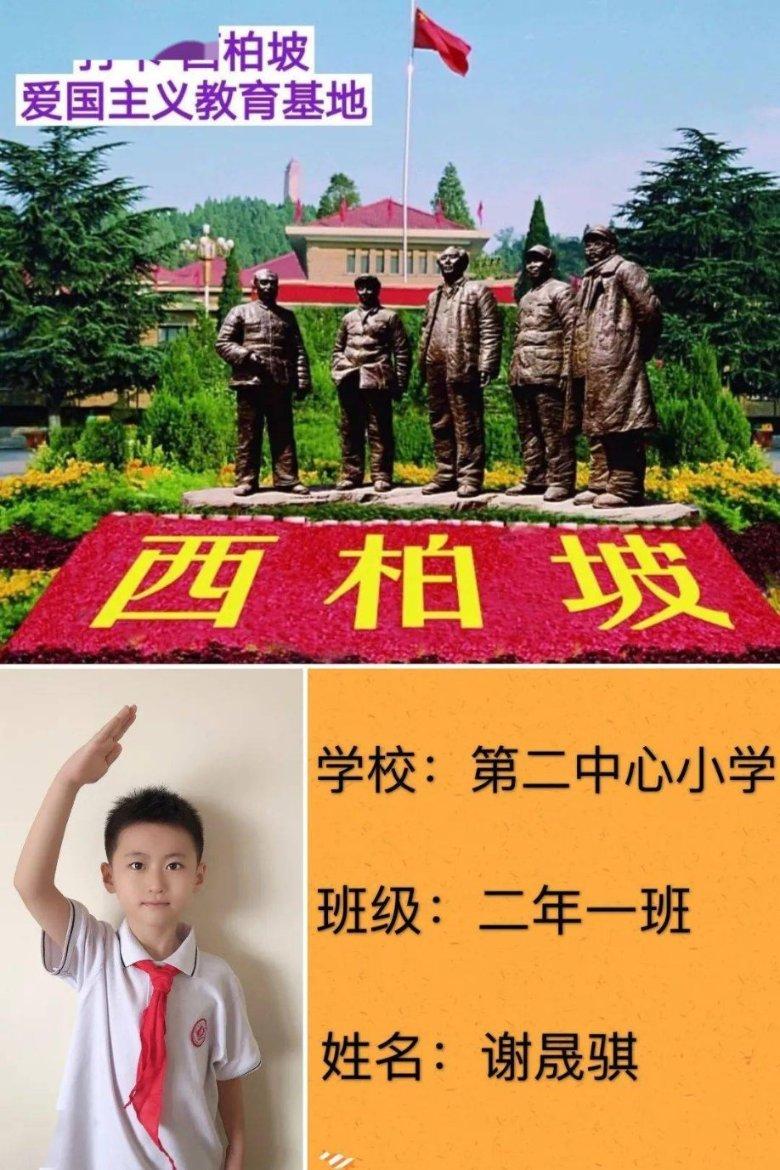 代表风采①︱群“燕”共筑巢，朱永琴履职勇担当！
