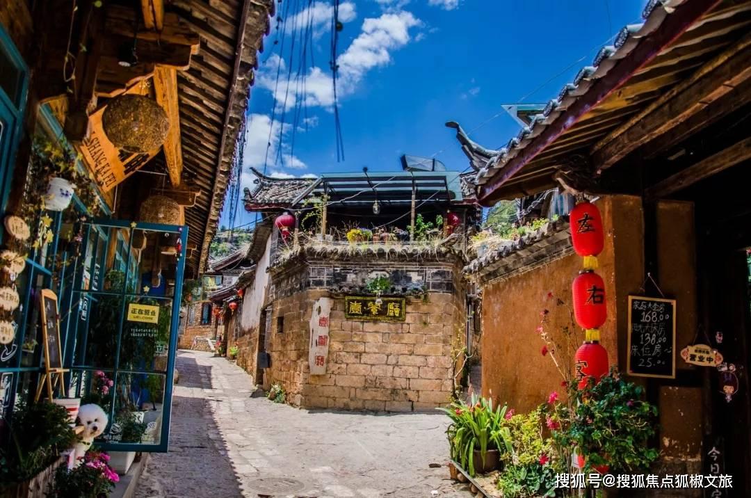 逃出猫头鹰岛